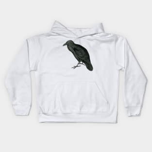 Raven Kids Hoodie